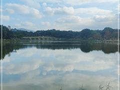 -东莞植物园