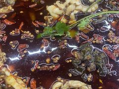 -重庆何乌鱼(南湖逸家店)