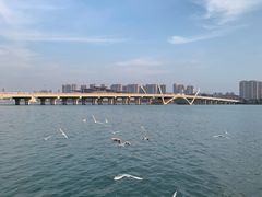 -蠡湖大桥公园