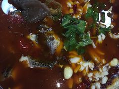 重庆乌鱼庄(青羊大道店)-重庆乌鱼庄·龙滋鲜(青羊大道店)