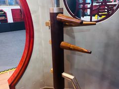 -温鉴良实用咏春拳