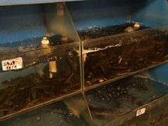 -庶民居中餐馆(花土店)