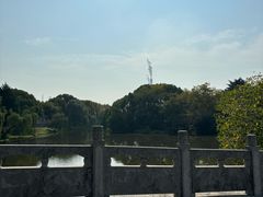 -太子山公园(园东路)
