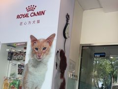 -瑞派申生动物医院·24H夜诊·国际动物医疗中心·骨外科(吴中路店)