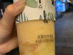 -猫的魔法密林(衣裳街店)