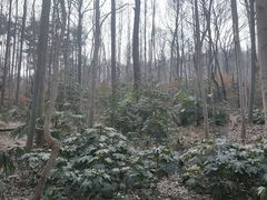 -大蜀山国家森林公园