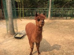 -兰陵国家农业公园