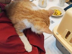 -万达广场(龙湖店)