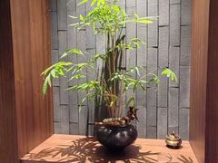 -首都医科大学附属北京天坛医院