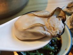 高压锅乳山蚝-蚝翅·海鲜粥·烧烤·宁夏滩羊季(玉米楼店)