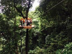 -清迈丛林飞跃 JungleFlight