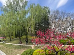 -元大都城垣遗址公园