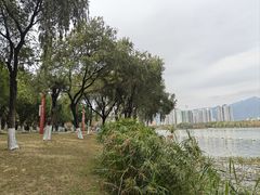 -飞来湖湿地公园