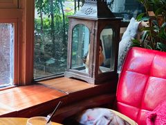 -咖法森林·咖啡  酒吧(天河店)