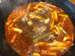 -老天桥蛙炉火锅(姑苏总店)