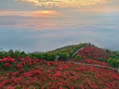 -瑞安圣井山景区
