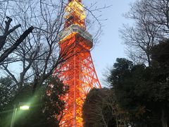 -东京塔海贼王主题公园