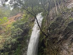 -莫里热带雨林景区