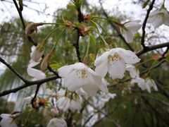 -白塘生态植物园