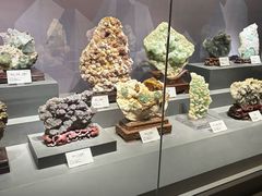 -湖南省地质博物馆