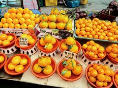 -西归浦每天偶来市场