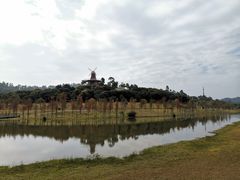 -东莞植物园
