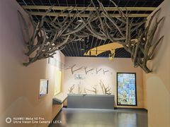 -北京麋鹿生态实验中心