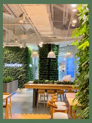 -悦诗风吟innisfree