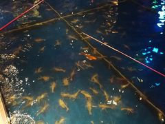 -钳真多钓虾馆·小龙虾海鲜烧烤(九六广场店)