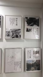-镁连社·美联社