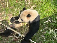 -安吉竹博园