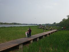 -永定河休闲森林公园