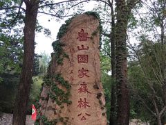 -鲁山国家森林公园