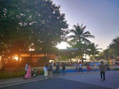 -圣淘沙天际线斜坡滑车