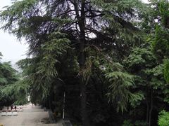 -襄阳烈士陵园(襄城区)