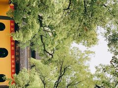 -西园戒幢律寺