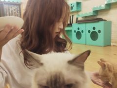 -萌喵咖啡屋(人民东路4号口M16商铺店)