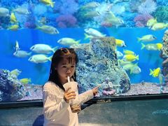 -海合安成都极地海洋公园