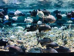 -成都浩海立方海洋公园