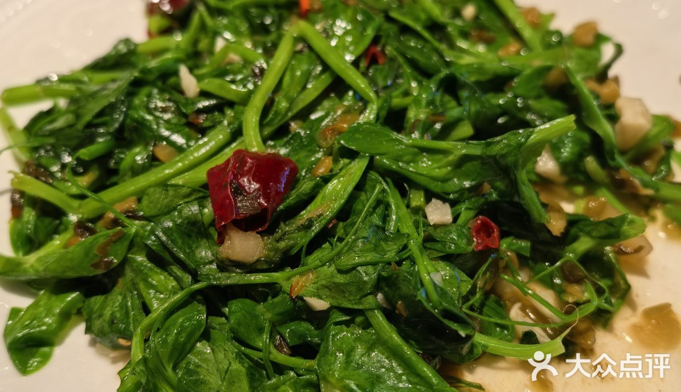 又又又来吃甘思咪哚，薄荷牛肉很好吃！