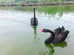 -鄱阳湖国家湿地公园