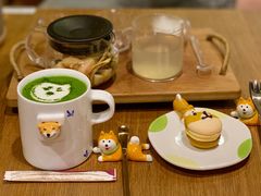 -柴务处·柴犬主题狗咖