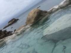 -南紀白浜 浜千鳥の湯 海舟