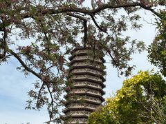 -西海子公园