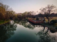 -顾村公园