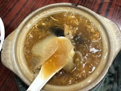 海参花胶特大鱼翅-添發碗仔翅美食