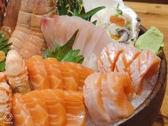 -左舞日本料理