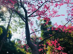 -晓港公园