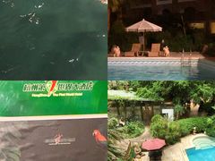 -杭州第一世界大酒店·云曼温泉