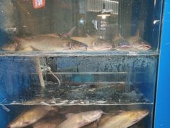 -鱼酷活鱼烤鱼(梅江印象城店)